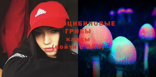соль ск Зерноград
