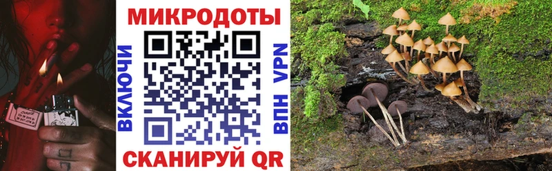 Галлюциногенные грибы прущие грибы  цены   Канаш 