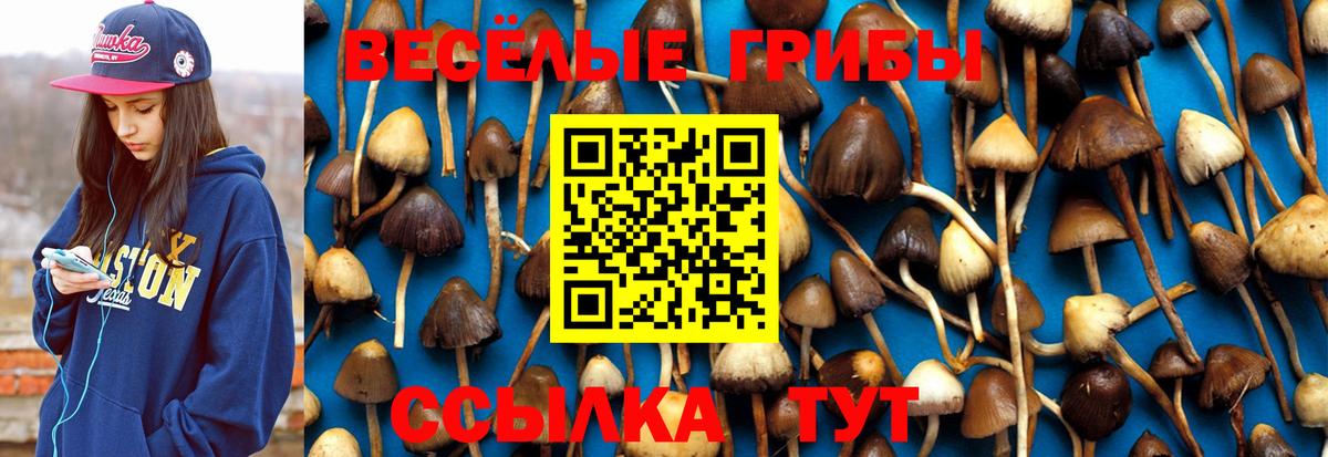 Канаш  Псилоцибиновые грибы Psilocybine cubensis  Псилоцибиновые грибы мицелий  Вход с VPN 