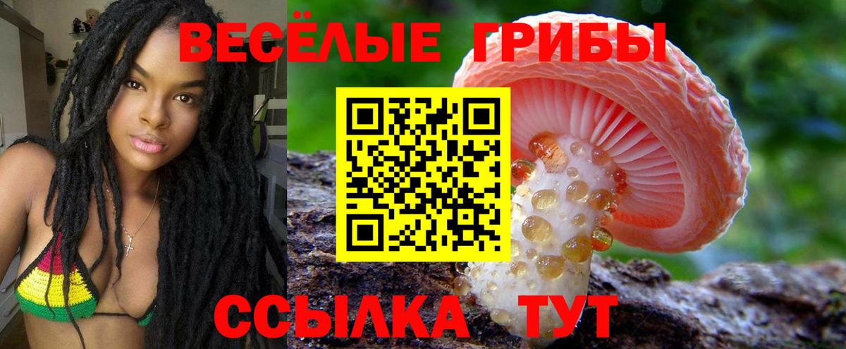 Псилоцибиновые грибы прущие грибы Канаш