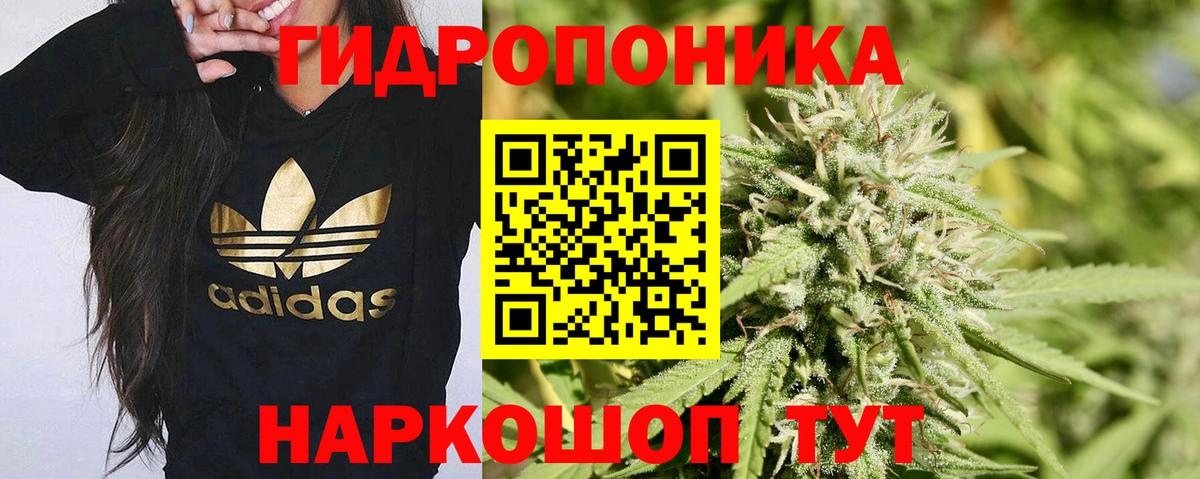 МАРИХУАНА SATIVA & INDICA Канаш