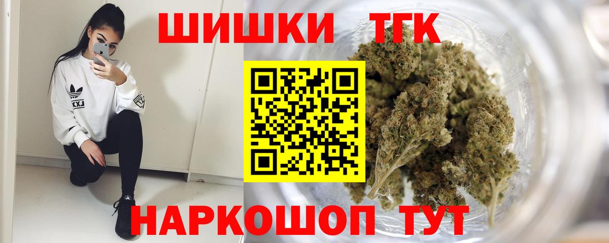 Канабис сатива Канаш